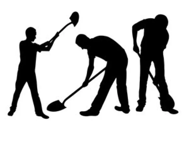 Daily article february 19 2015